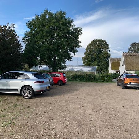 Mariegaardens Gaestehuse Hillerød Dış mekan fotoğraf