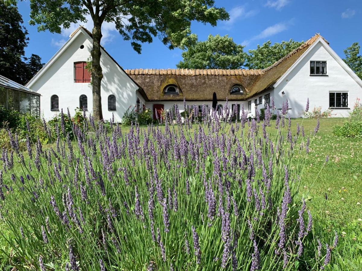 Mariegaardens Gaestehuse Hillerød Dış mekan fotoğraf