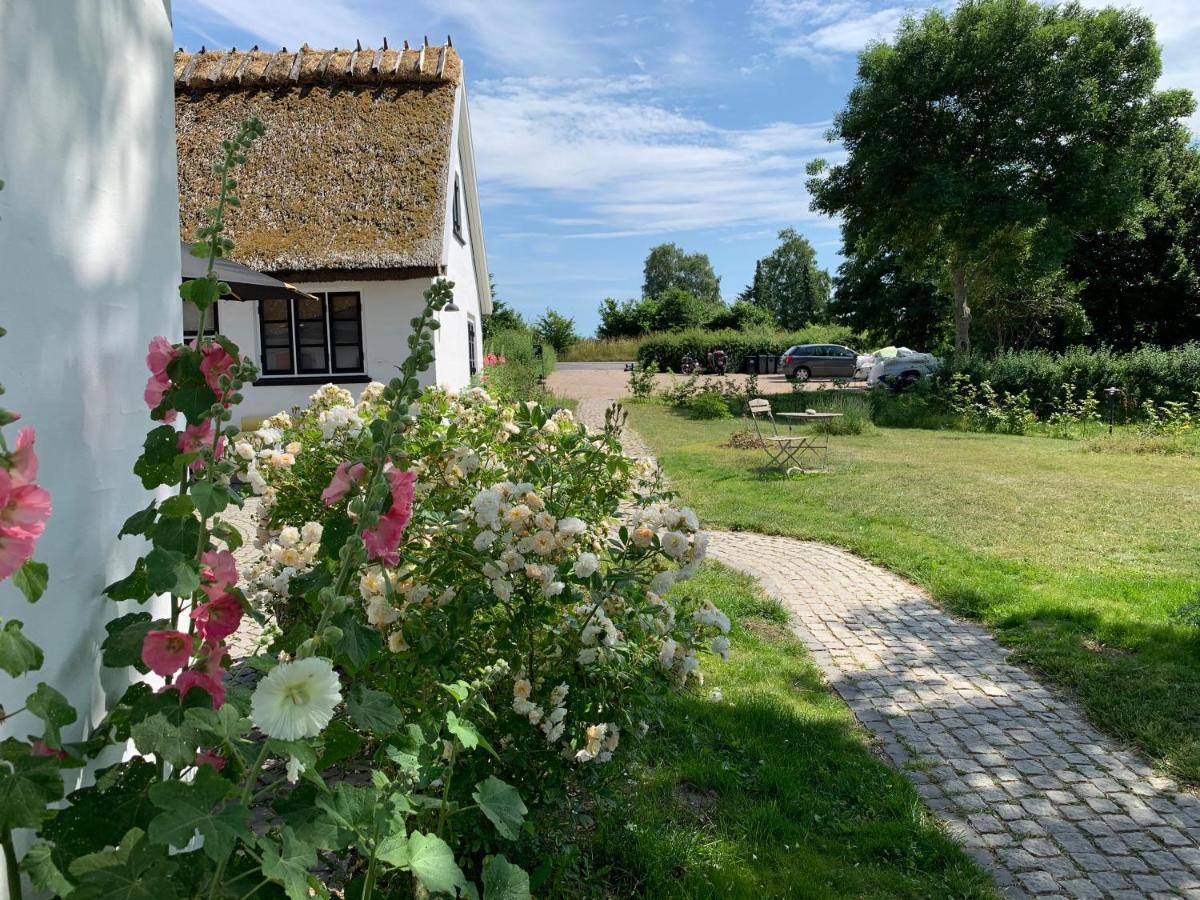 Mariegaardens Gaestehuse Hillerød Dış mekan fotoğraf
