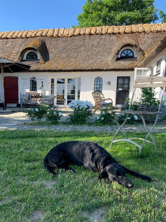 Mariegaardens Gaestehuse Hillerød Dış mekan fotoğraf